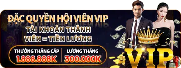 đặc quyền hội viên vip