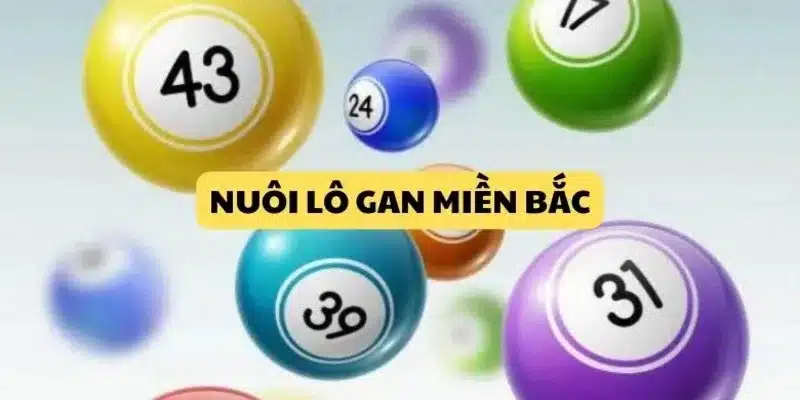 dd lô gan miền bắc 23win